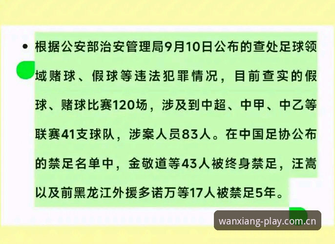 中国足协最新禁足名单曝光，17人终身禁止从事足球活动，行业乱象引关注