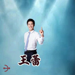 王蕾